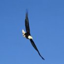 다운템포 이미지