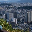 상지 부동산 중개사무소 네이버블로그