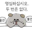 라포레캠핑장 이미지