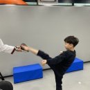 우솔태권도 이미지