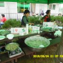 서촌농장 이미지