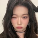 MZ따라잡기 인스타그램 이미지