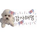 댕키친 네이버블로그
