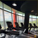 머슬핏피트니스 이미지