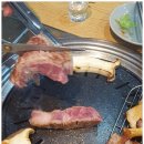 경성고기