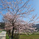 월화할머니경로당 이미지