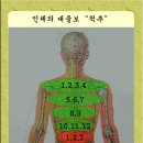 Re:저도 걸어다니는 종합병원인데, 좋아질 수 있을까요? 혹시, 효과 없으신 분도 있으신가요? 이미지