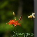 사람의 바램 이미지