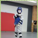 THE나이스태권도 이미지