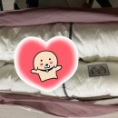 용이동 소로 1-205 | 수앤지 따시온 진고밀도 차렵이불 호텔이불 봄가을이불 구매 후기