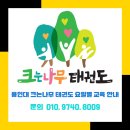 용인대 크는나무 태권도장 이미지