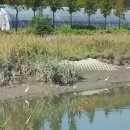 장수천공원 이미지