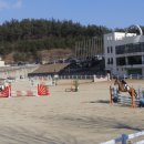 복용승마장 이미지