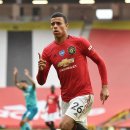 그린우드 이미지