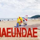 해수욕장길 이미지