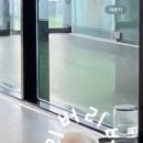 놀러오개 강아지 픽드랍 이미지