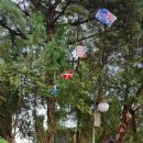 금송의원 이미지