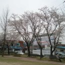 봉방동사무소 이미지