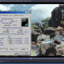 장율 Daum카페