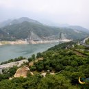 산약초와 한방차 이미지