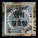 24.08.28 삼척 장호항 폭우 비오는 날 스노쿨링 후기, 망상해수욕장