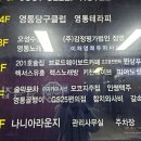고고운전면허수원