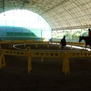 동서울 승마장 이미지