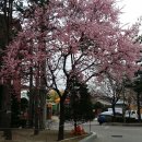 세성2리 경로당 이미지