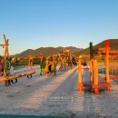 장성황룡강노란꽃잔치 축제장4 | 장성 황룡강 가을꽃 축제 다녀온 후기 일정 먹거리 주차장 꽃길열차