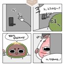 모찌툰