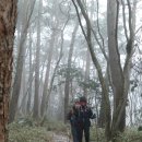 돈내코로 이미지