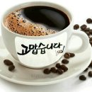 정선공인중개사사무소 이미지