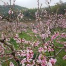 한국전력공사 부천지사 이미지