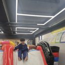 선태권도 이미지