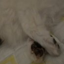 해랑동물병원 이미지