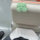 세븐일레븐 부산중구용두산점 | 첫 부산 여행 ̊ᐧ🦈🤍