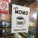 카페모모아쿠아플렌트