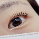 제이블리뷰티 - 21356 | 제이블리뷰티