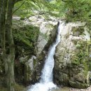 증산초등학교 이미지