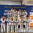 정릉 용인대 태권도장 네이버블로그