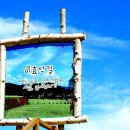 메밀꽃체육관 Daum카페
