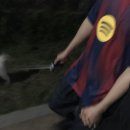 물수제비 | 수상할 정도로 도트를 사랑하는