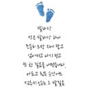 안정화랑태권도장
