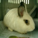 아현치안센터 이미지