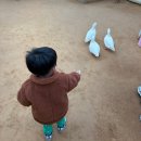 세븐일레븐 용인한숲시티점 | 용인 무럭무럭농장&amp;서울감자탕&amp;스타벅스 용인한숲시티...비오는 날 농장체험&amp;근처맛집 내돈내산 방문후기