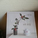 대익보이차 울산장검점