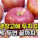 사과 보관법 그냥 냉장고에 두지 마세요! ‘이렇게’ 하면 한박스 다 먹을 때까지 신선! 이미지