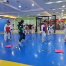 월드스타클래스태권도장 이미지