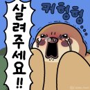 (주)아인라이즈 | 2025년 9월 1일-30일