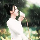 Yiruma - Kiss the Rain 이미지
